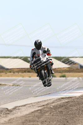 media/Aug-03-2025-TrackDaz (Sun) [[bf4a71acf9]]/A Group/12pm (Wheelie Bump)/